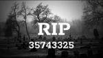 Rip fg/crew