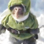 Sonic The Cool Man