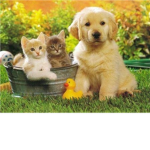 Animals Lover!!! <3