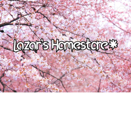 Homestore