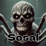 Sosal Studio