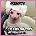 Los Fans!