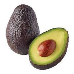 avacado rapter is cool
