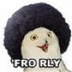 FRO RLY?