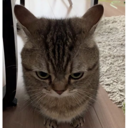 <3