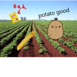 Potato Worship Club