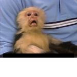 munki