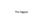 The Oggyes