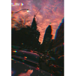 iilvser