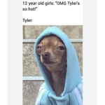 Memes channel