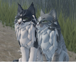 Warrior Cats – RP