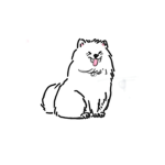 cat QEEN