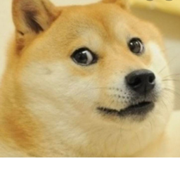 escape doge the killer