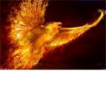 Flaming falcons