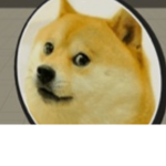 Doge doge Studio’s