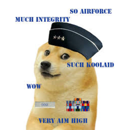 DOGE LAND EMPIRE's Airbase Ender