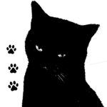 Kitty’s paws