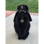 Darth_Army