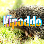 Kipoddo YT