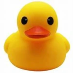 Ducky's hangout!