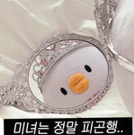 지민(아린)팀
