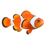 aquincium