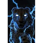 Fast CheetahZ