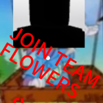 Team c00lflowers