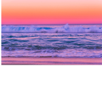 Hawaii Vibes