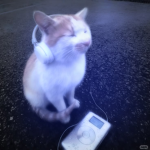 ǃ ᅠ ᅠ