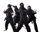 The Black Ninjas