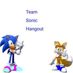 Team Sonic Fan Club