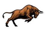 The Bull group