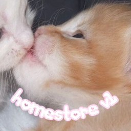 homestore v1