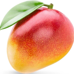 SURVIVE THE Mango