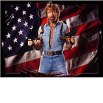 the best chuck norris fans