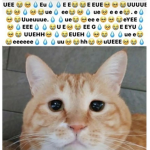 « chez »