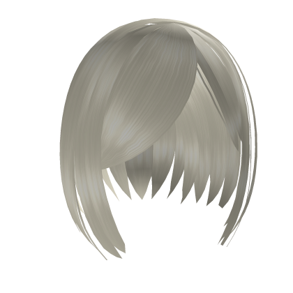 girl hair with slicked bangs Roblox item