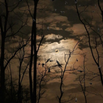 Selection of Celestial