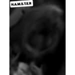 H.A.M.S.T.E.R F.A.M.L.Y