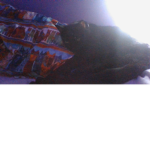 Swiper the black cat