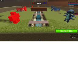 capture the flag!