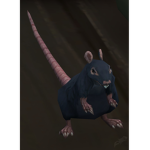 The Ricky Rat Foundation