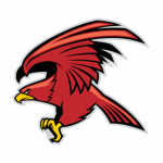 Hawk King