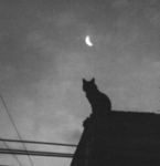 ღᴀɴɢᴇʟsღ,