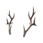 [ pbr ] Fawn Cream Antlers [ v2 ]