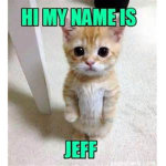 jeff te cat