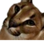 DMDelta Studios
