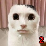 fnaf poop fart family guy toilet doodoo roleplay 2