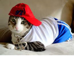 CAT MANNN